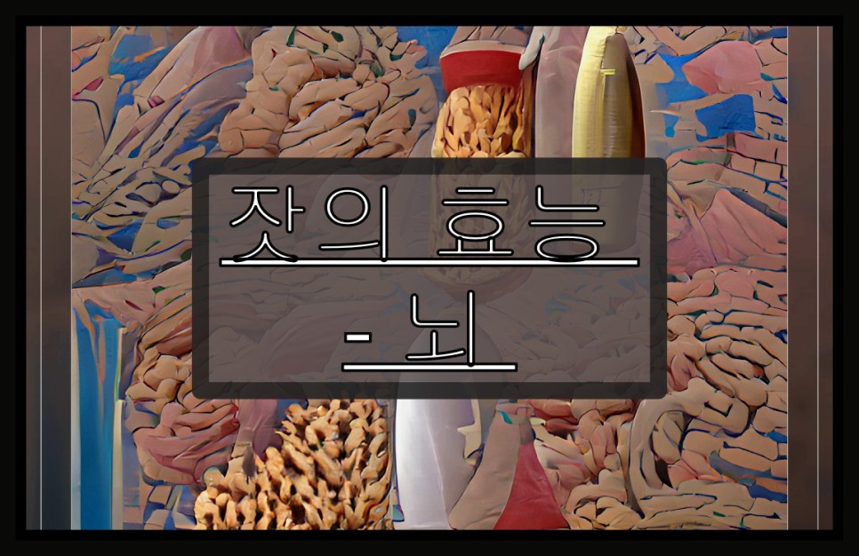 잣의효능 - 뇌 기능 1