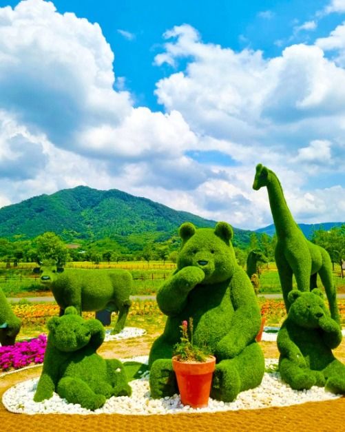 https://korean.visitkorea.or.kr/kfes/detail/fstvlDetail.do?cmsCntntsId=3352029#none