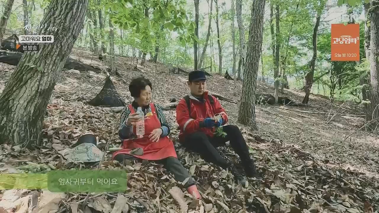 나는 자연인이다.E554.230518p.H264-F1RST.mp4_20230518_194516.011.jpg