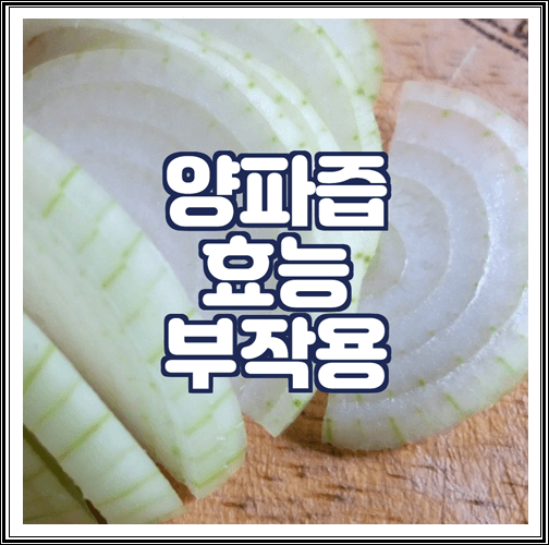  양파즙 효능과 부작용 알아보기