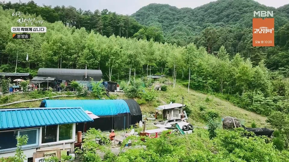 나는 자연인이다.E560.230628p.H264-F1RST.mp4_20230701_182657.080.jpg