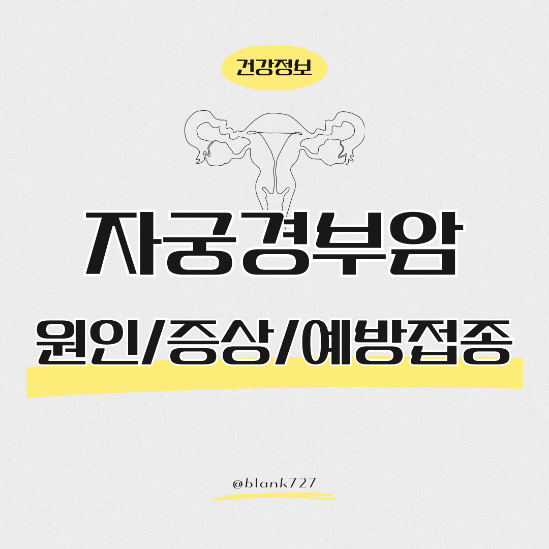 자궁경부암 증상 및 예방접종