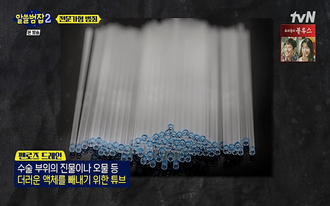 알쓸범잡 2.E12.220404p-NEXT.mp4_20220404_184528.998.jpg