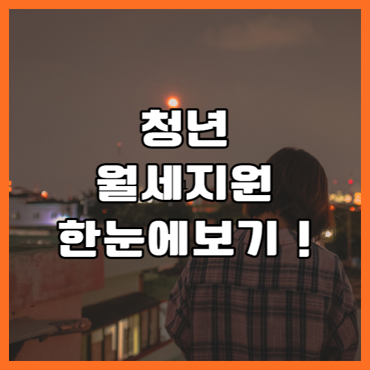  청년 월세 지원 청년 지원금 한눈에 보기