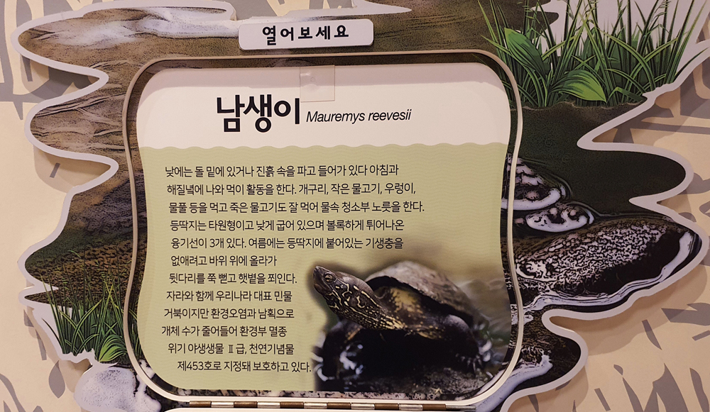 꽁이 이미지