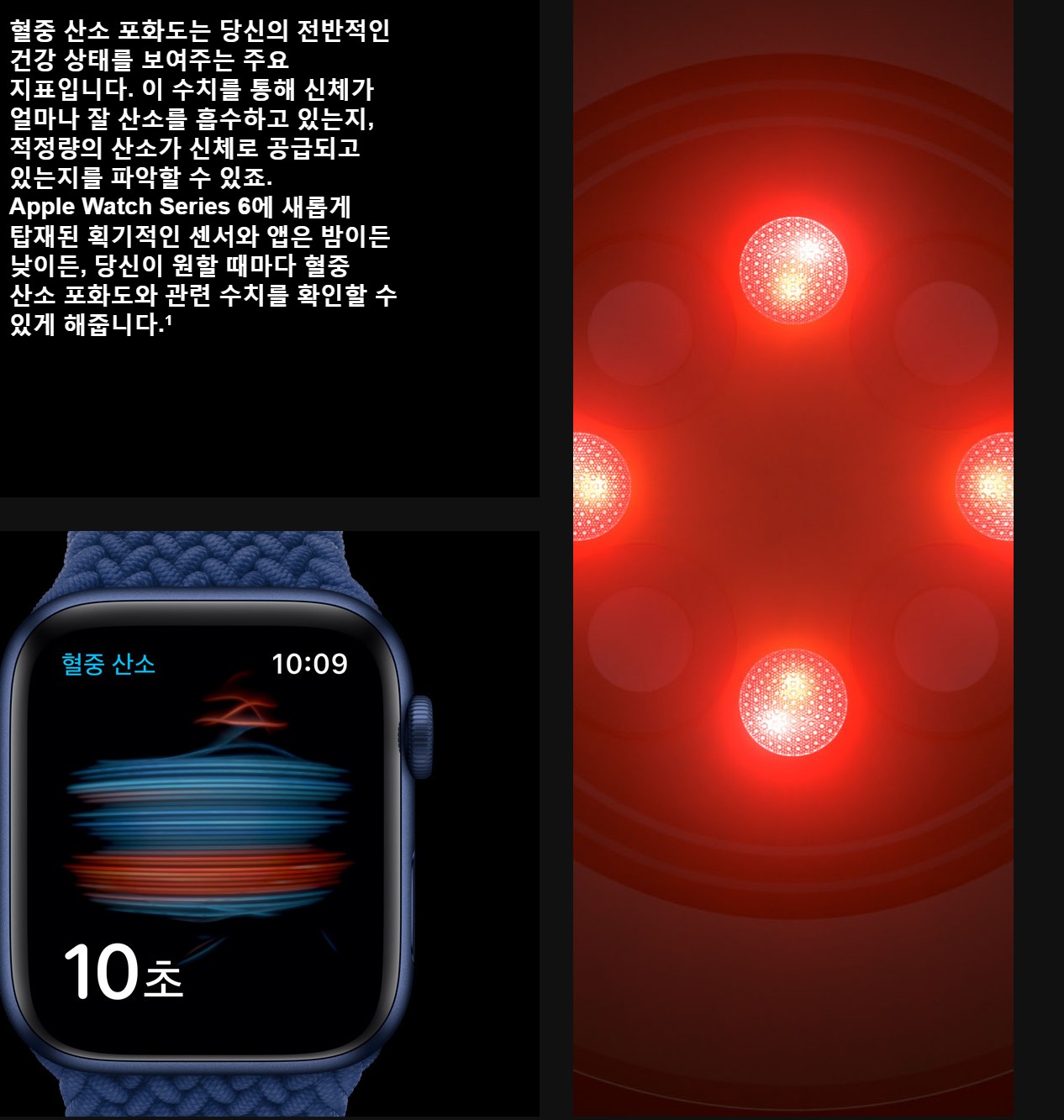  애플워치 6세대 새로운 기능