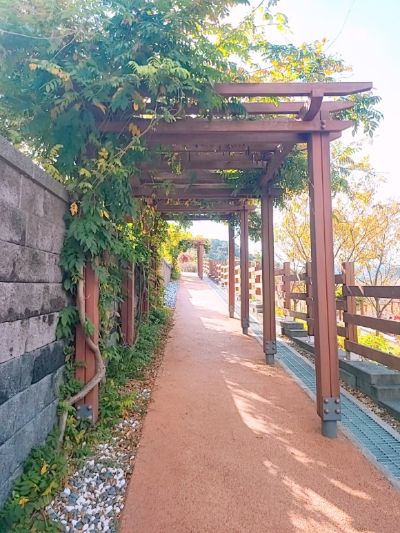 #부산 아이와가 볼만한 바다 운대수목원 16
