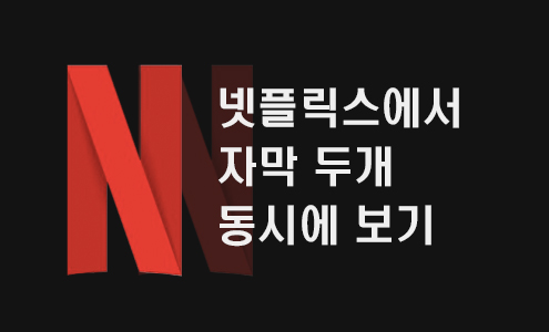  넷플릭스에서 자막 두개 동시에 보기 '크롬 확장프로그램 NflxMultiSubs'