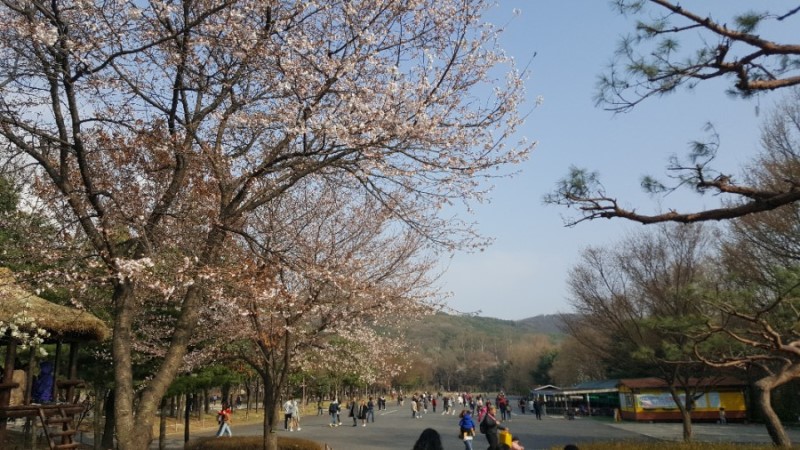  인천대공원 주차요금