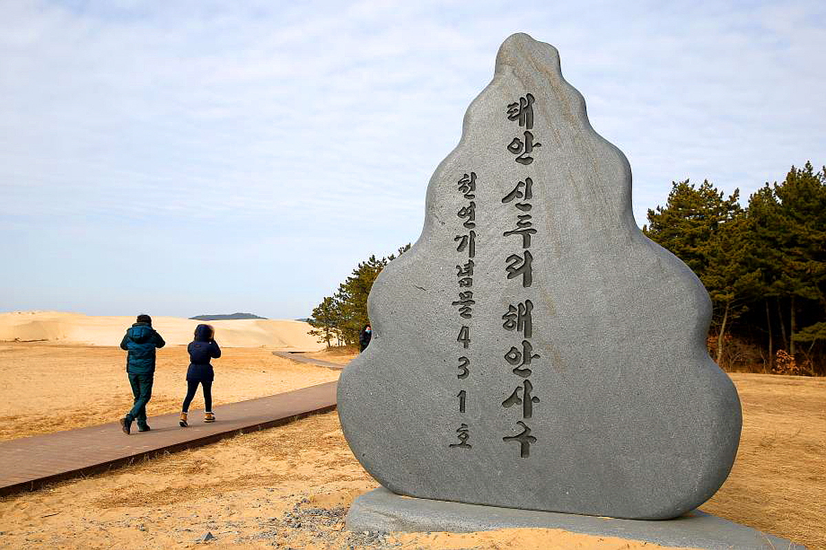 태안 신두리 사구센터