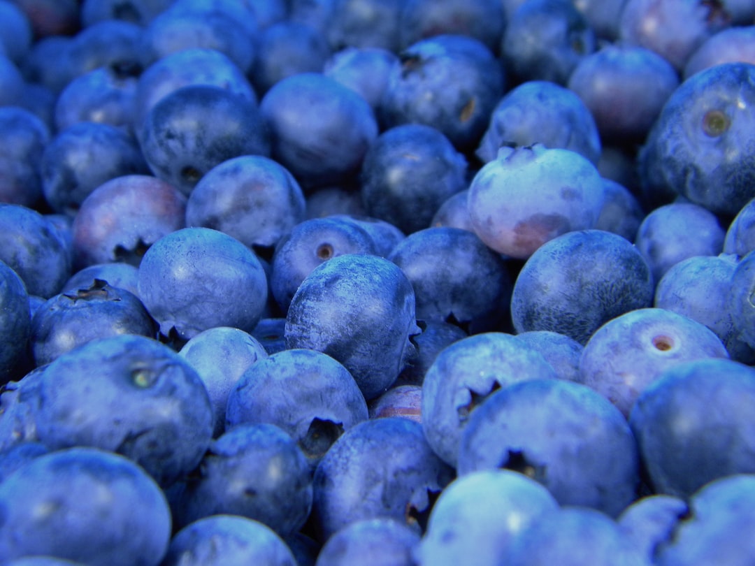 fruit