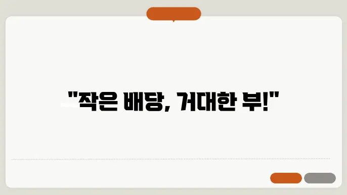 배당 재투자의 장기적 효과와 전략