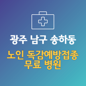 광주 남구 송하동 노인 독감예방접종 무료 병원 (인플루엔자 무료 접종 대상 날짜)