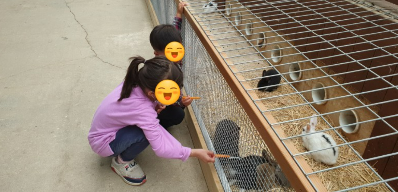 개과천선의 여행정보_강원도 홍천 동키마을 방문 후기 및 정보 (가족 나들이&#44; 아이들과 나들이&#44; 홍천 가볼만한 곳)