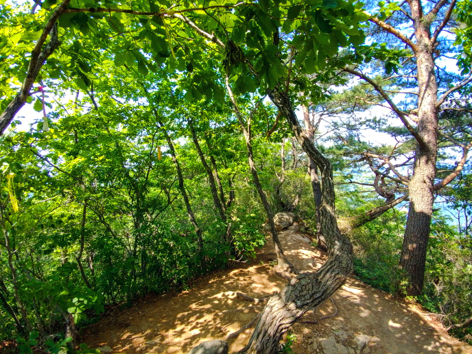 한국 명산 충북 문경 조령산 등산 mountain hiking
