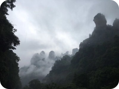 천자산의 풍경 1