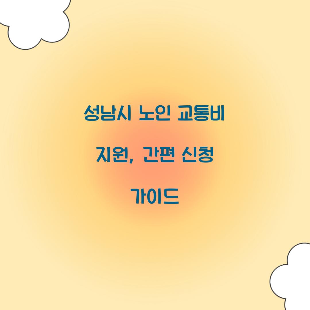 성남시 노인 교통비 지원