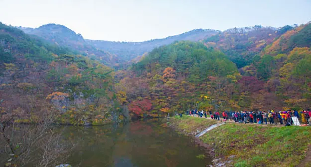 주산지