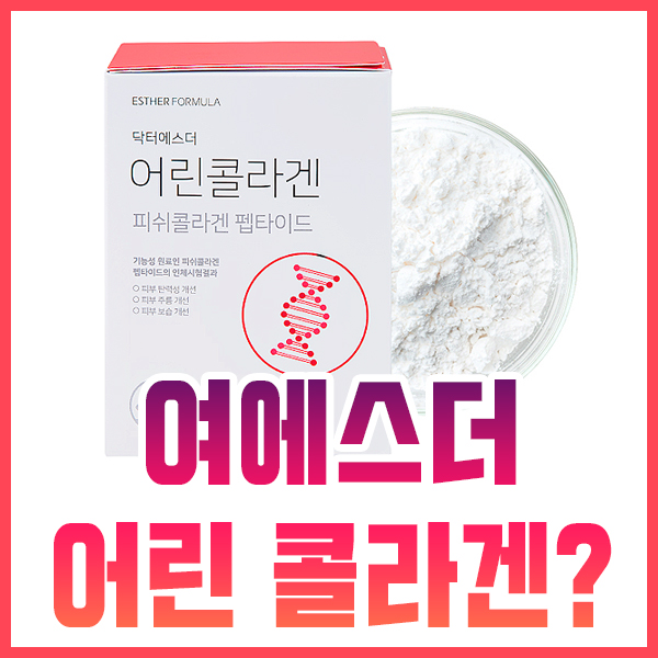  여에스더 어린 콜라겐 정보 싹 정리