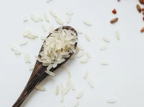 곡물