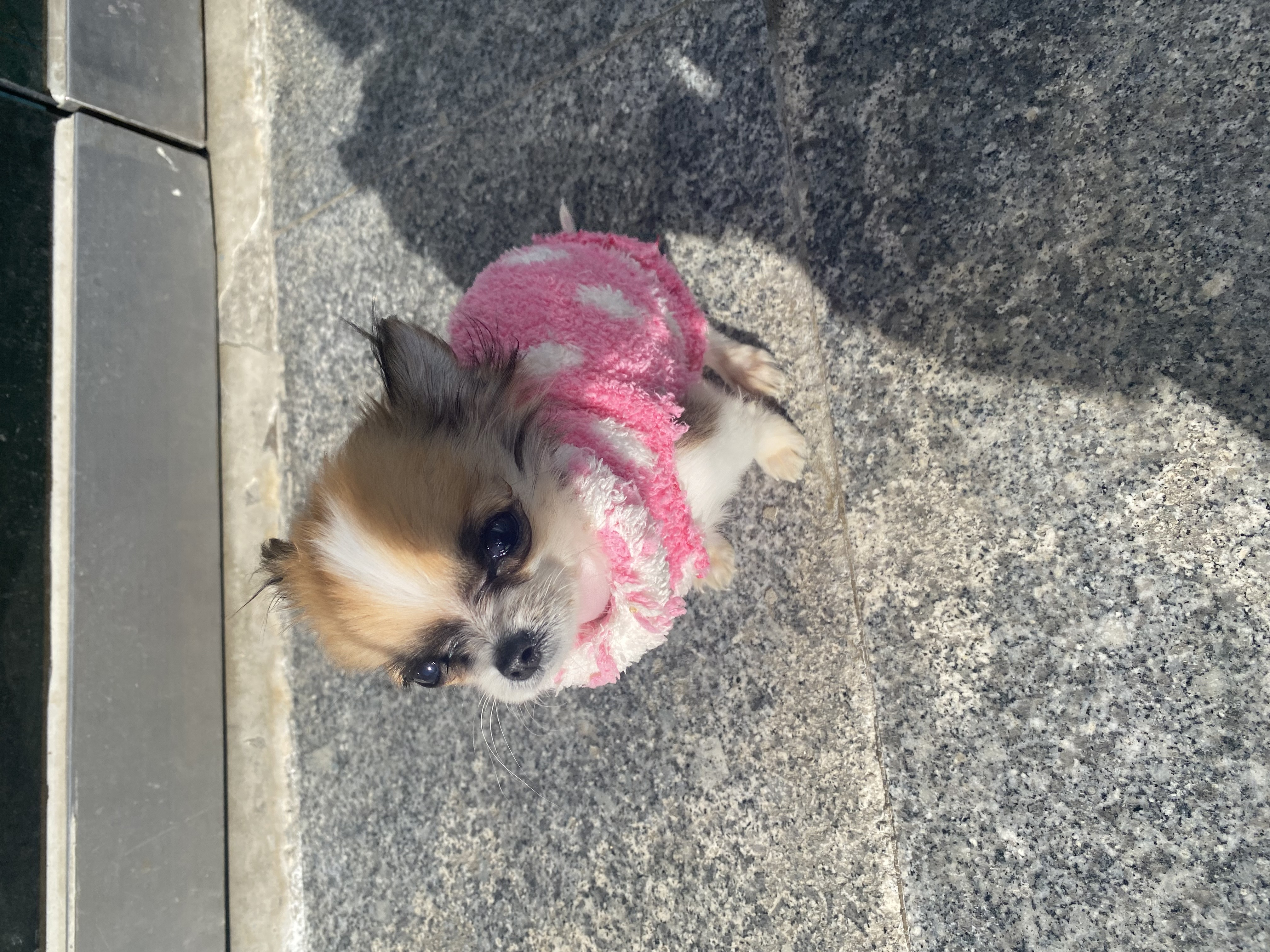 강릉 폴게스트하우스 후기