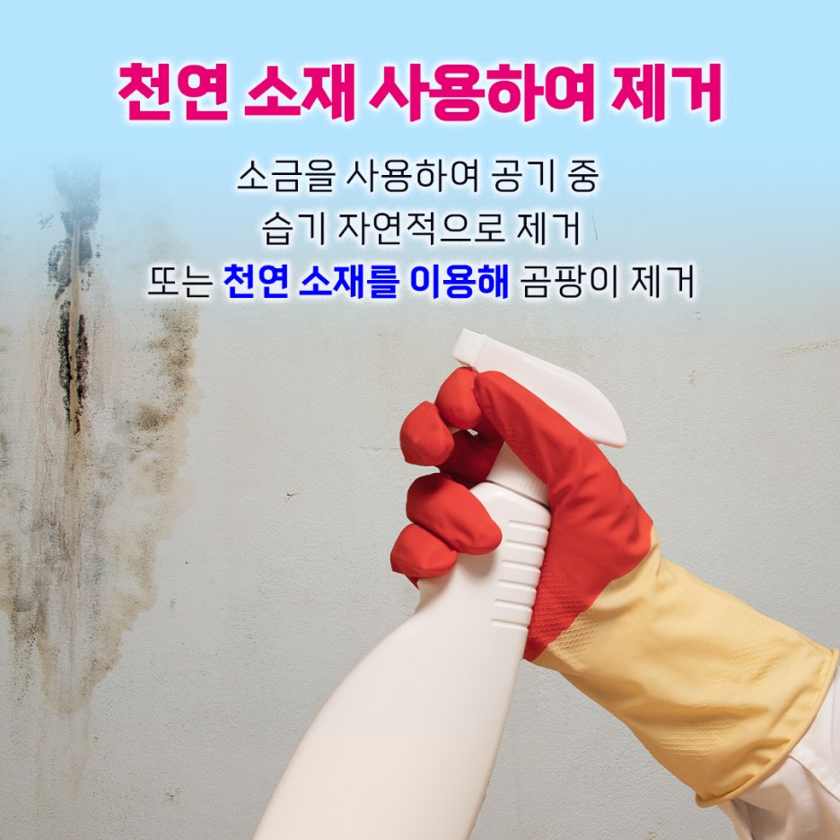 케어원 이미지