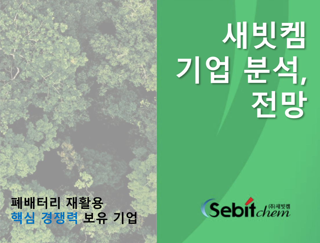  [2차전지 순환경제] 새빗켐 기업 완전 분석 및 투자포인트 (미래의 금광 : 폐배터리 재활용 관련주)