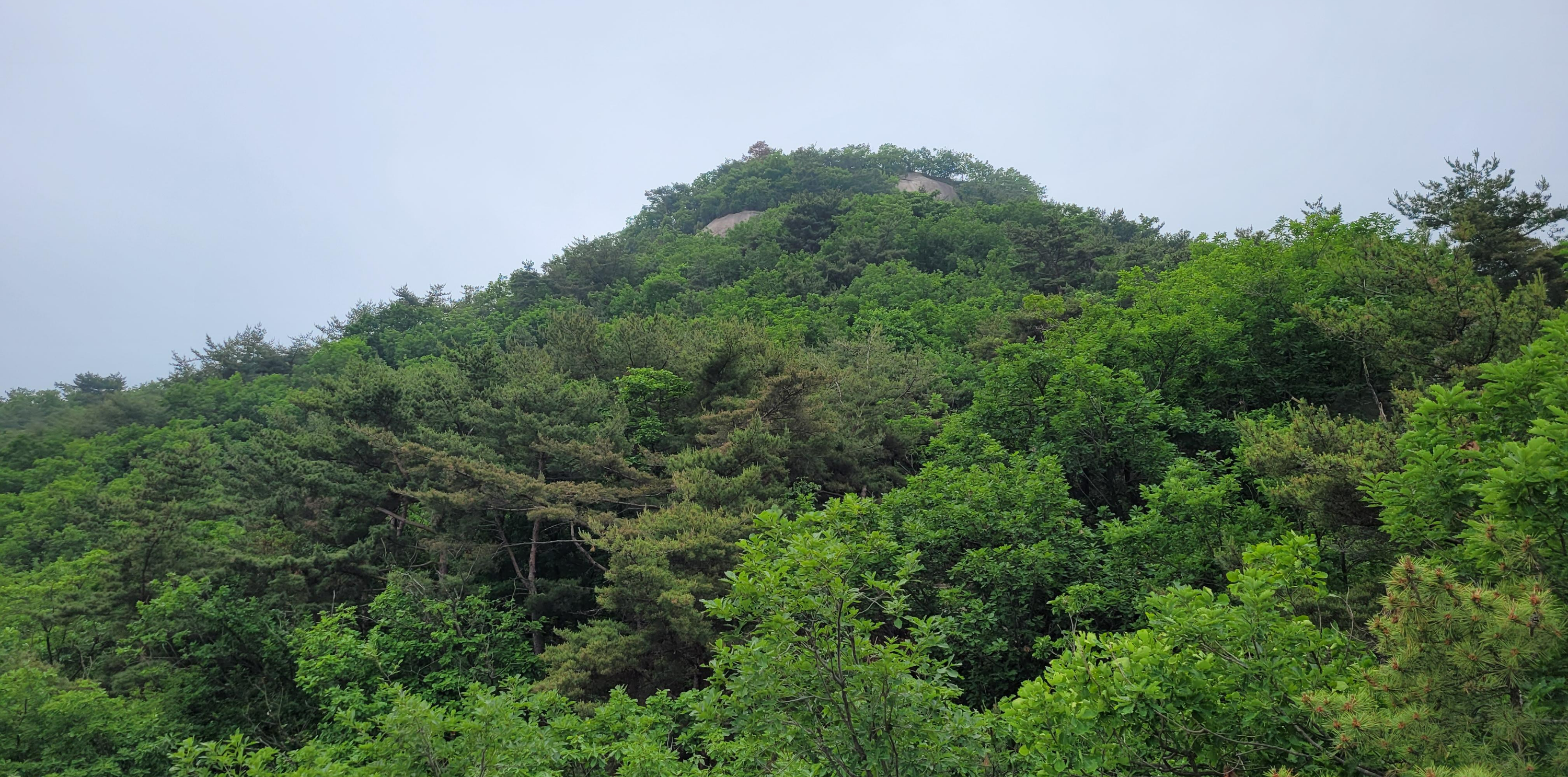 산과 숲은 아이들에게 호연지기와 유대감을 심어주는 최적의 공간이다, 산과 숲을 거닐며 호흡하는 것 자체가 자연교육이다!