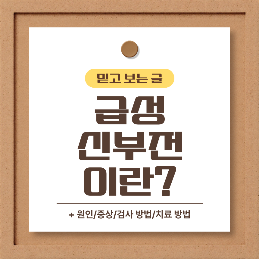  급성 신부전 이란?