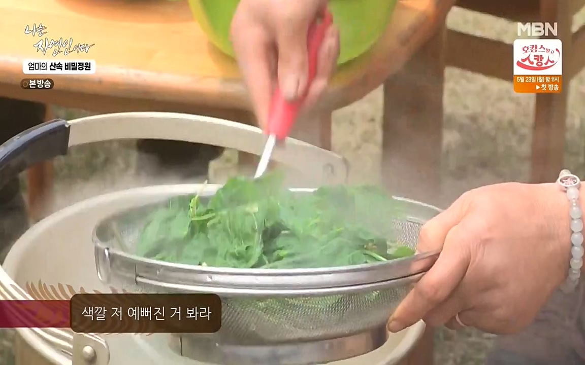 나는 자연인이다.E501.220512p-NEXT.mp4_20220512_185623.351.jpg