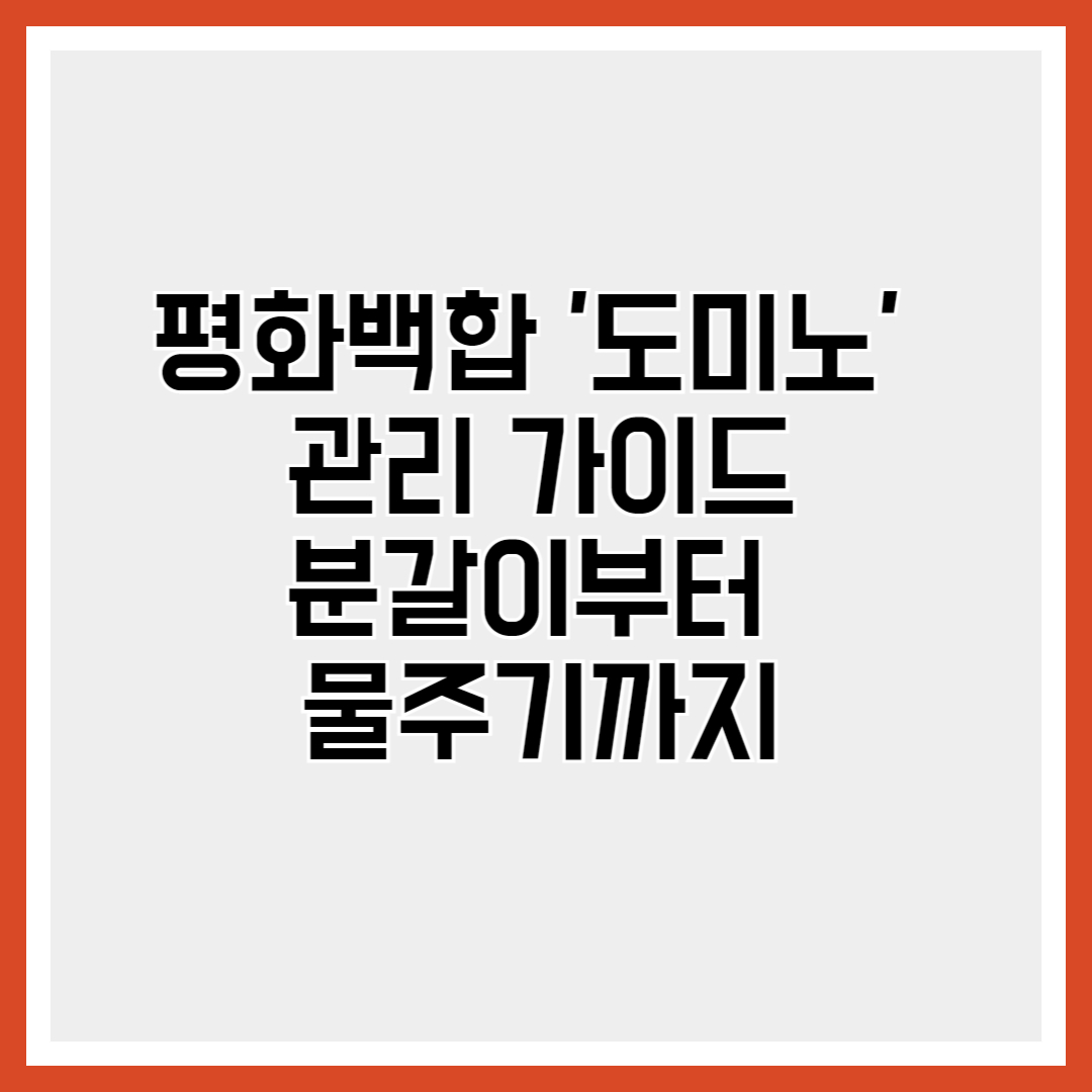 도미노