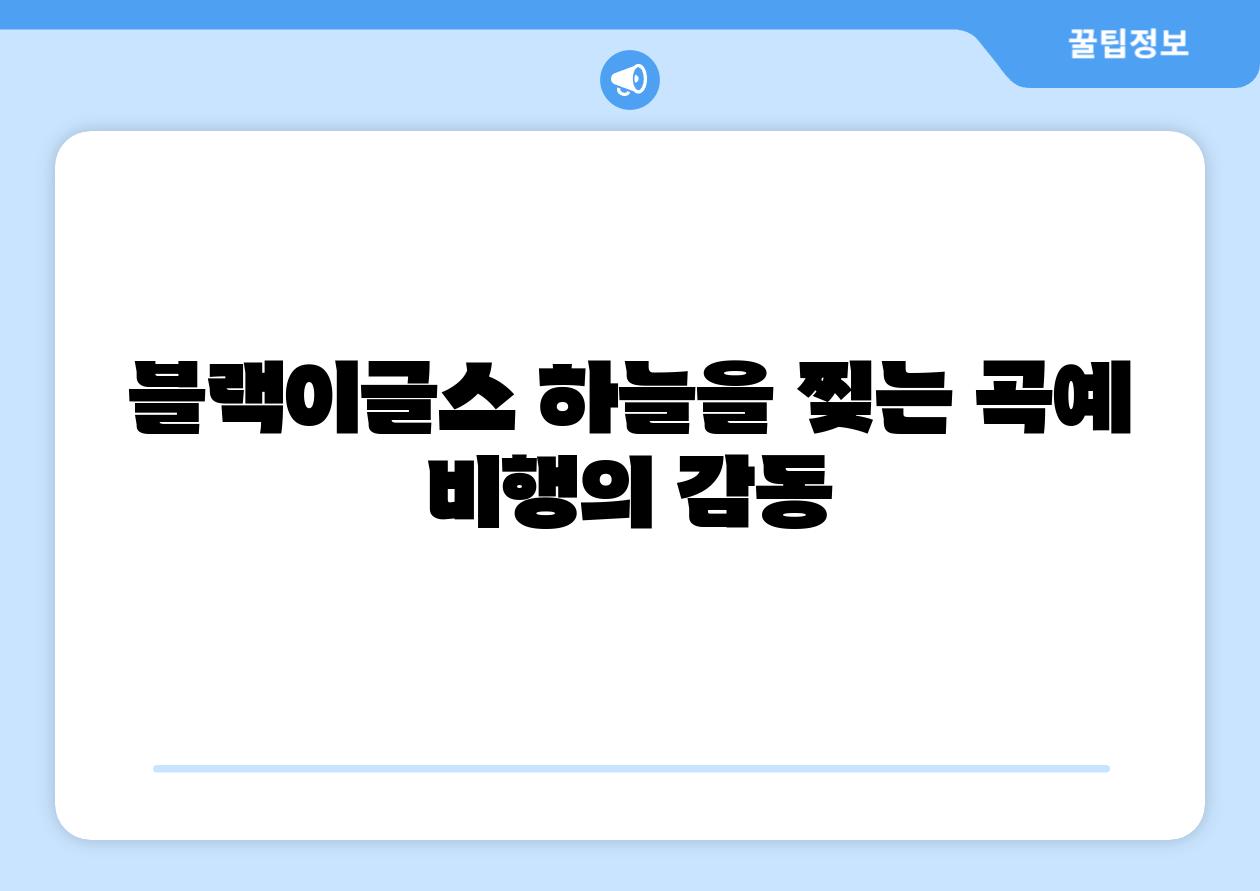블랙이글스 하늘을 찢는 곡예 비행의 감동