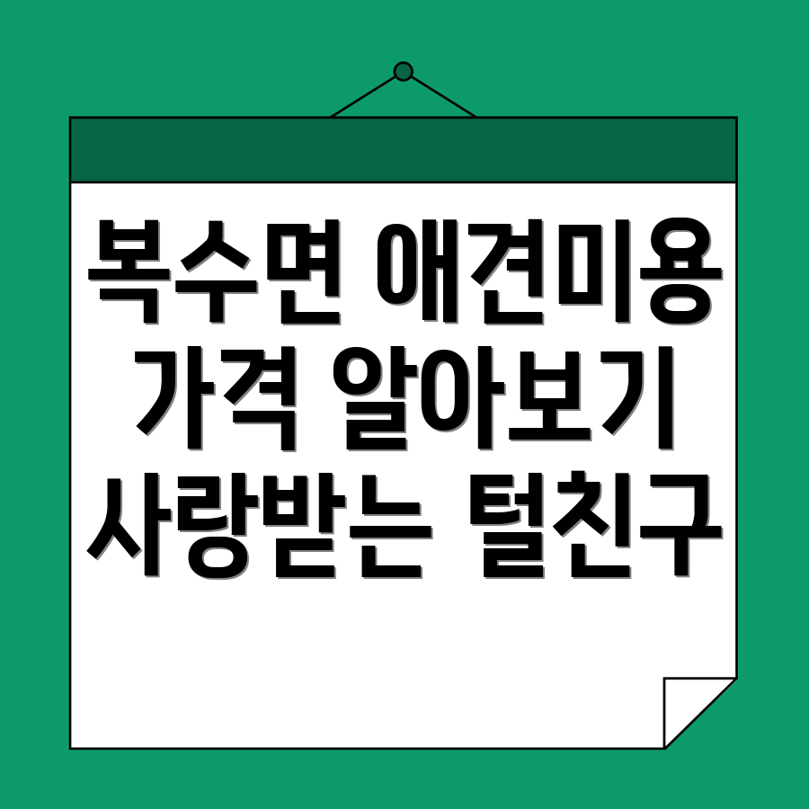애견미용 가격