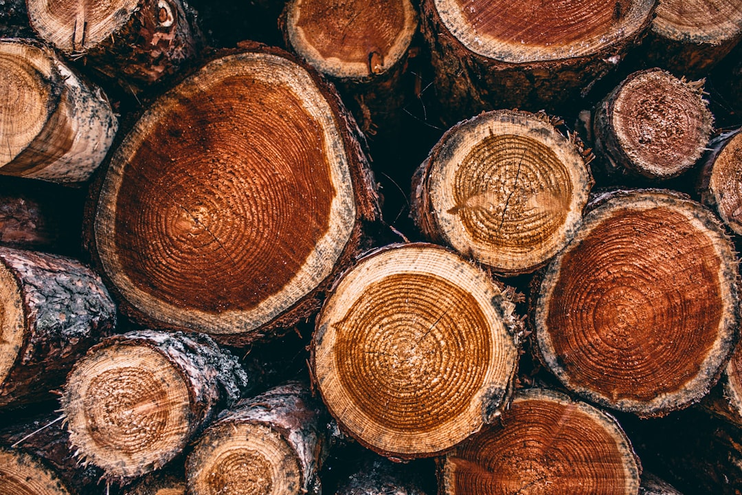 Log