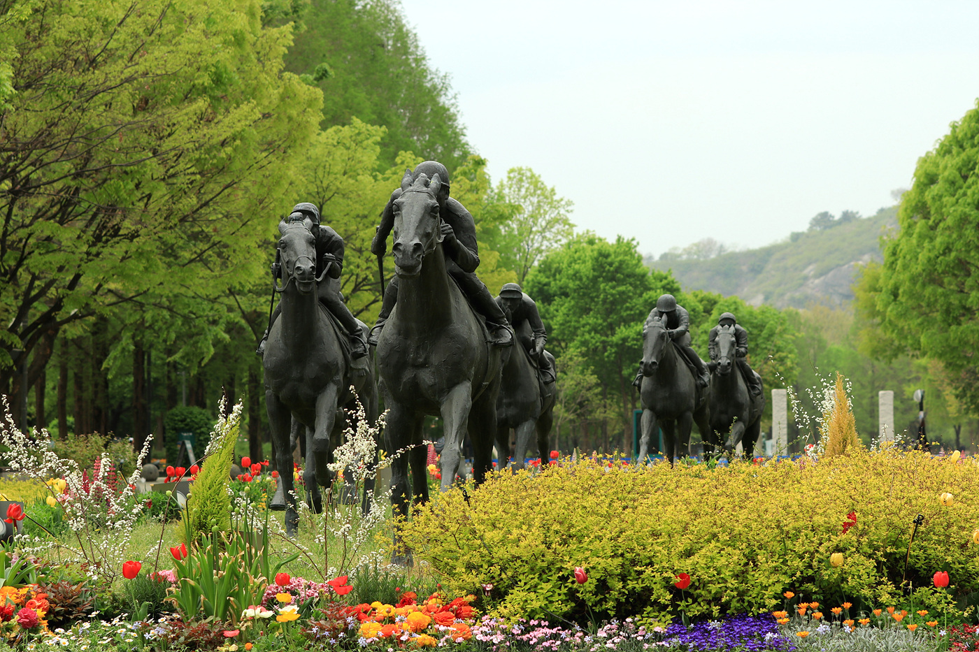 주말 서울숲 튤립 개화 현황… 5