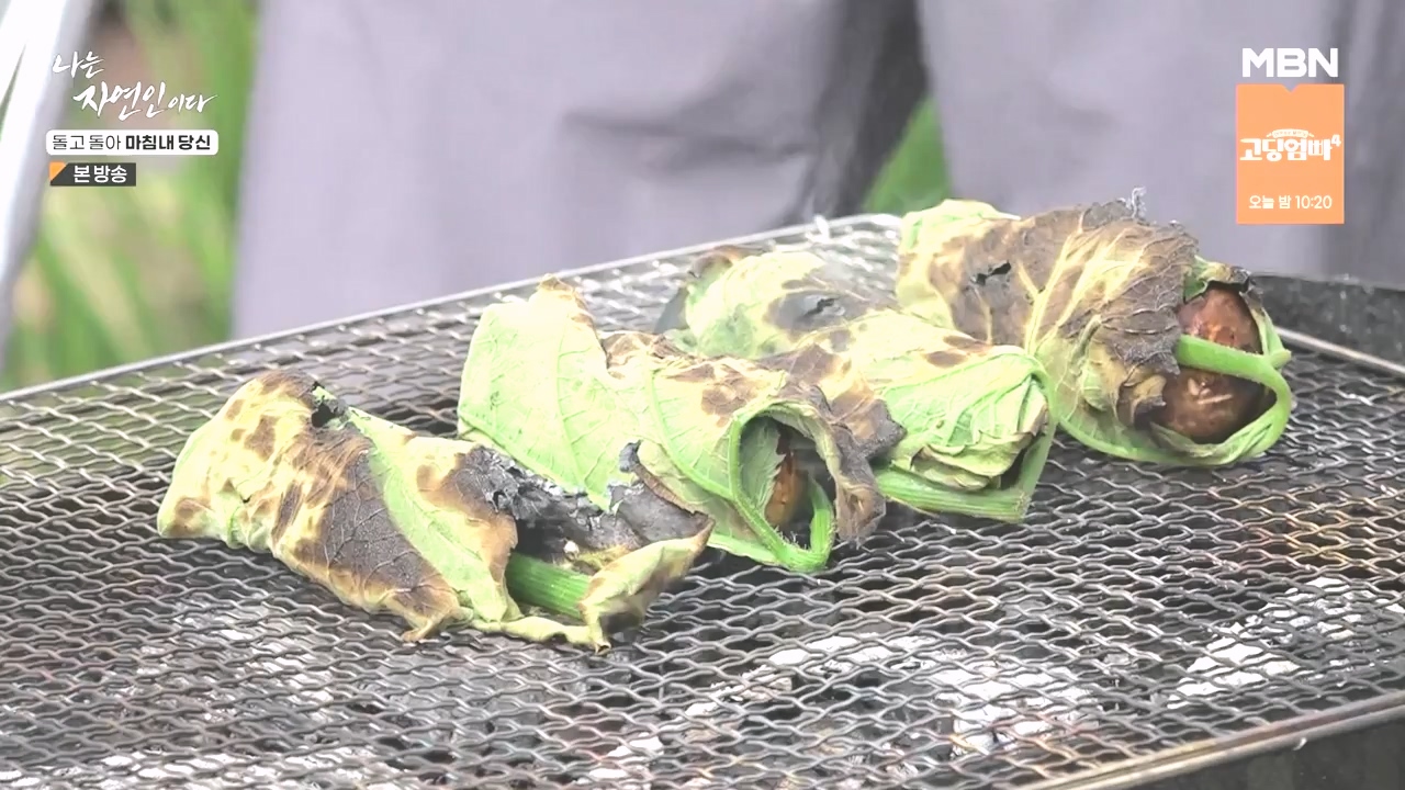 나는 자연인이다.E577.231026p-NEXT.mp4_20231026_200359.126.jpg