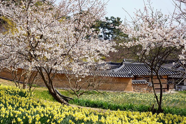 광주 화담숲 축제 예약