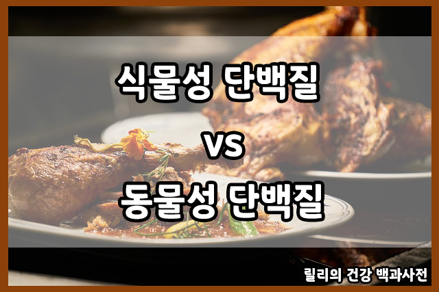  동물성 단백질 vs 식물성 단백질 : 어떤 것이 더 좋을까?