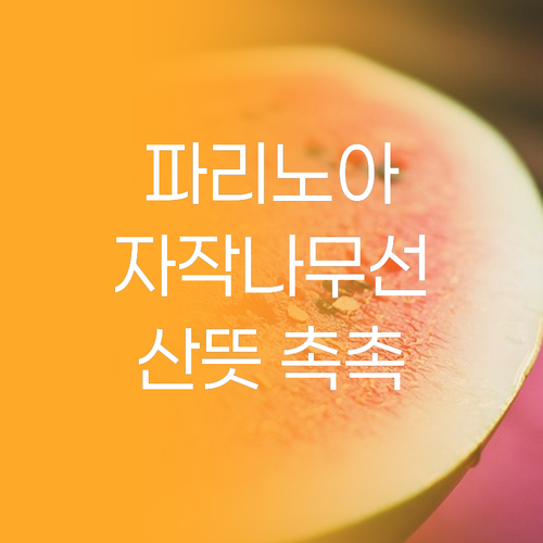 파리노아 자작나무 선크림 촉촉한데 끈