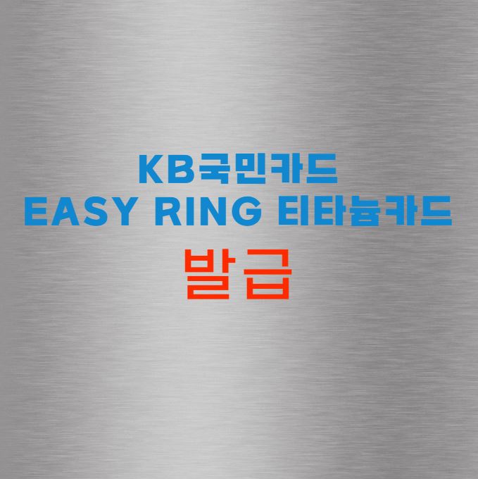 KB국민카드 Easy ring 티타늄카드