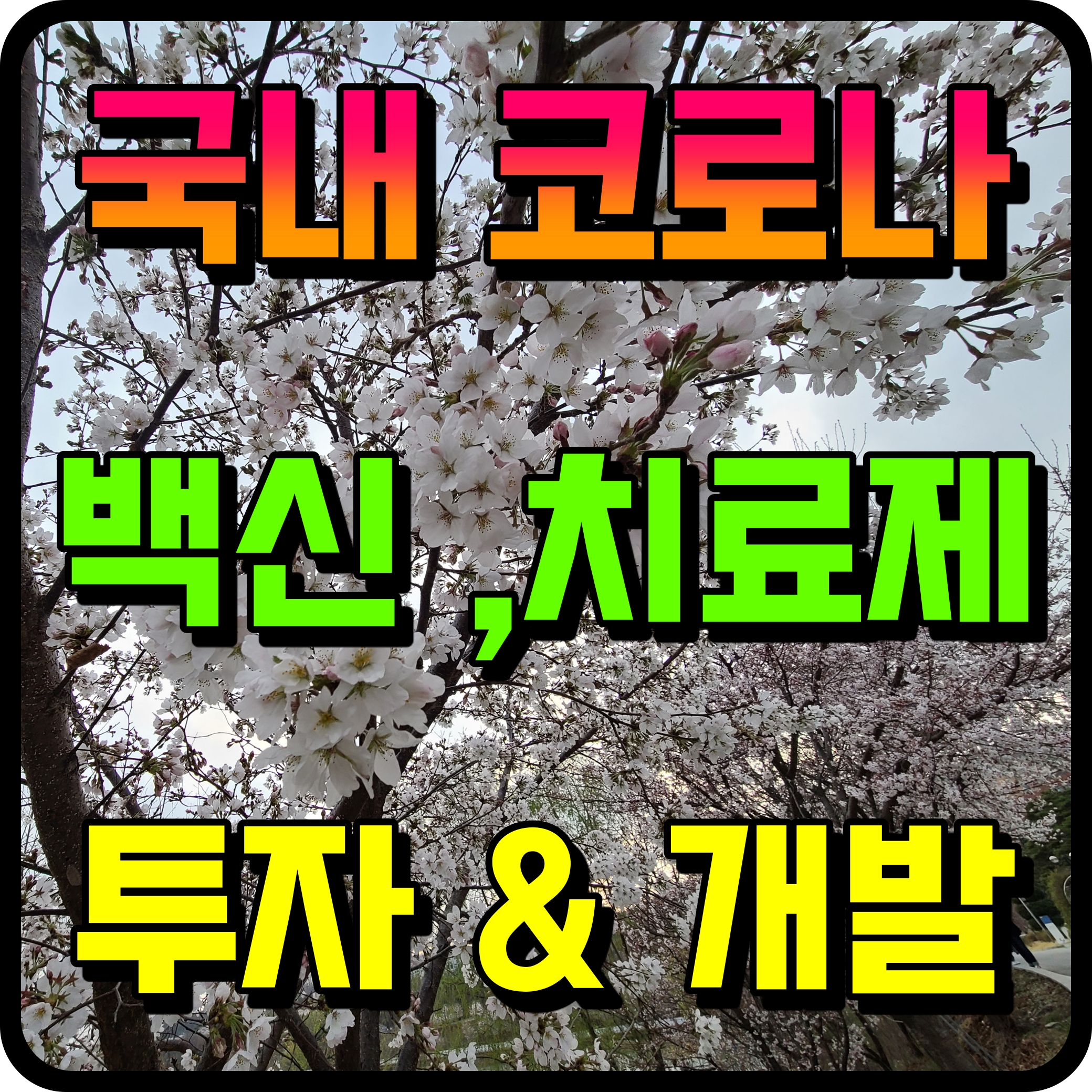  한국 코로나 백신 치료제 개발 국내 투자 계획