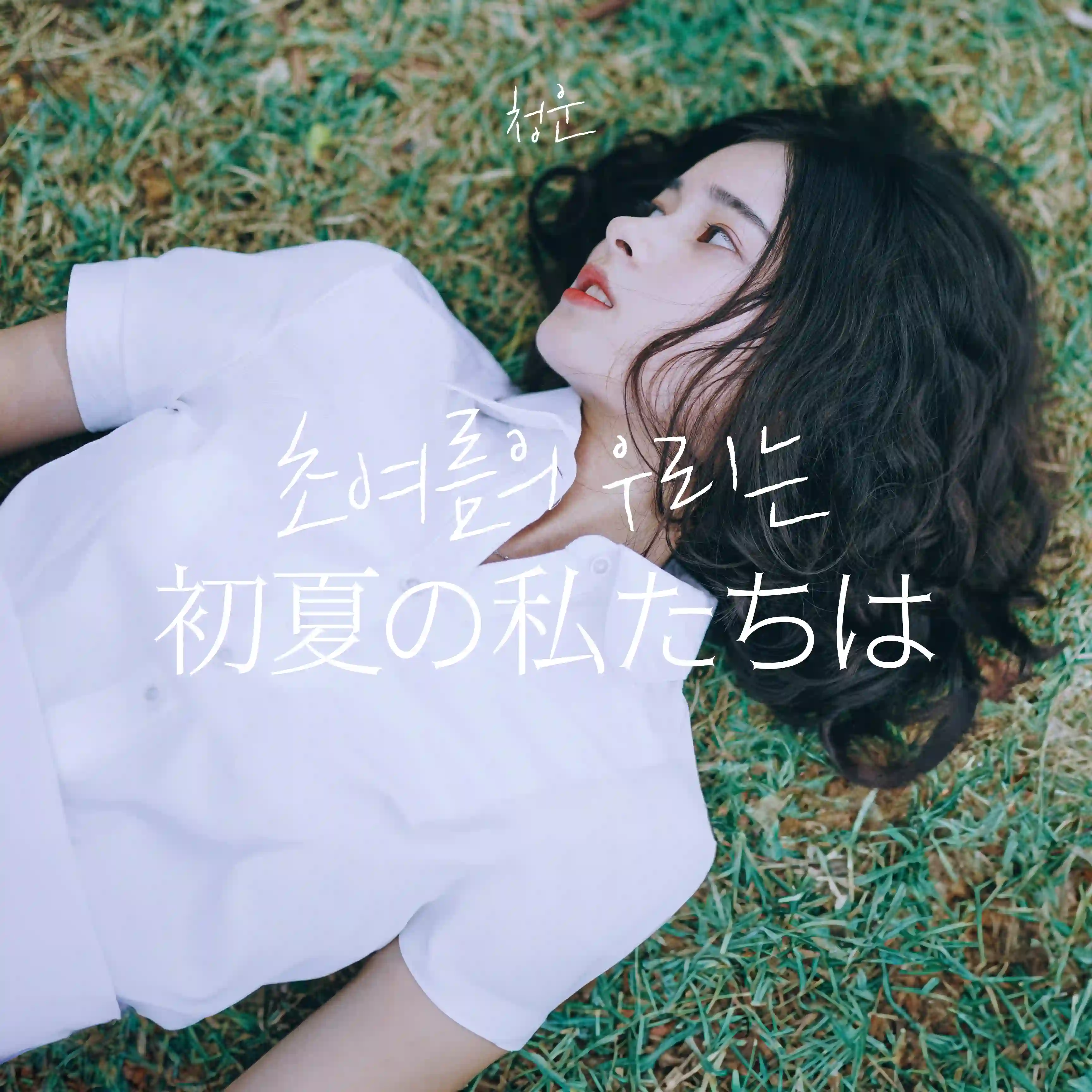 청운-초여름의 우리는-하루와일독자-가사