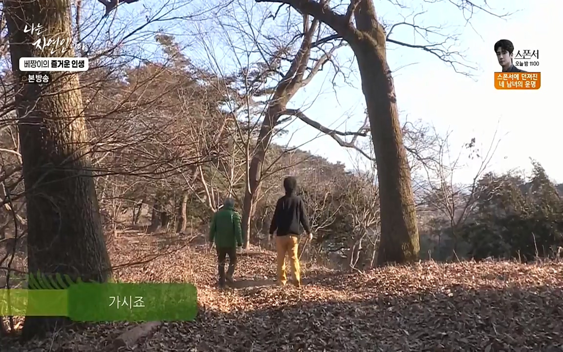 나는 자연인이다.E495.220331p-NEXT.mp4_20220331_174349.685.jpg