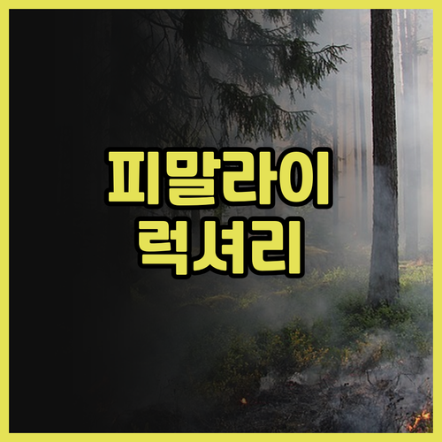 피말라이 리조트 & 스파 후기.. 란