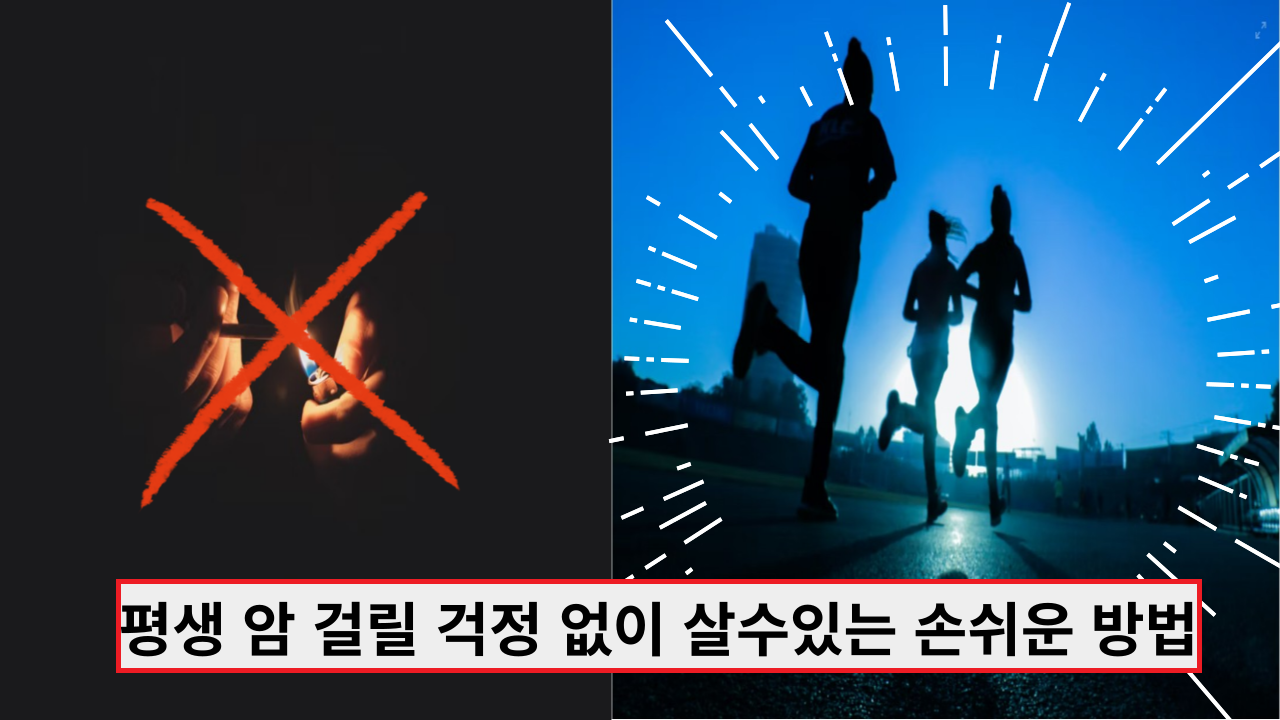  '이것만 피하면 되요' 평생 암 걸릴 걱정 없이 살수있는 손쉬운 방법