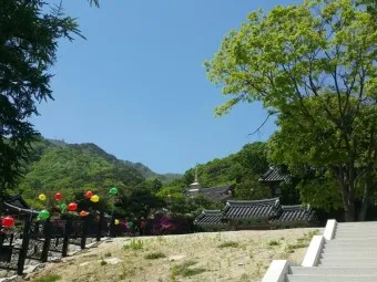 양평 가볼만한곳 베스트10 현지인 추천 필수코스_12