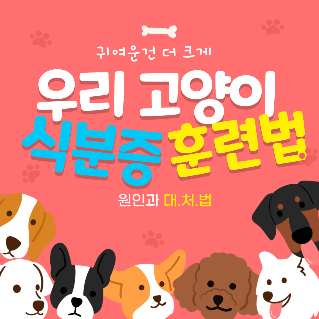 고양이 식분증