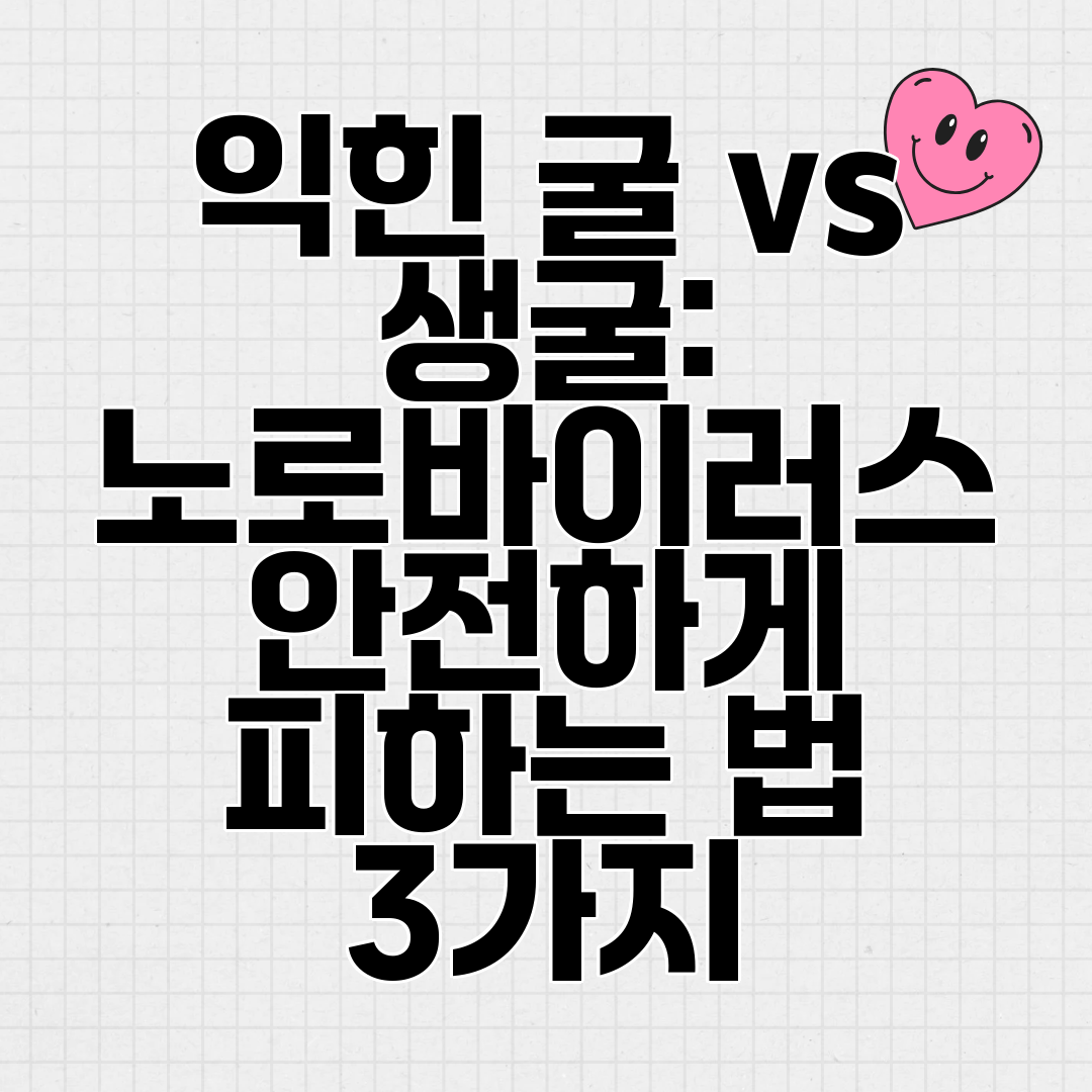 익힌 굴 vs 생굴 노로바이러스 안전하게 피하는 법 3가지