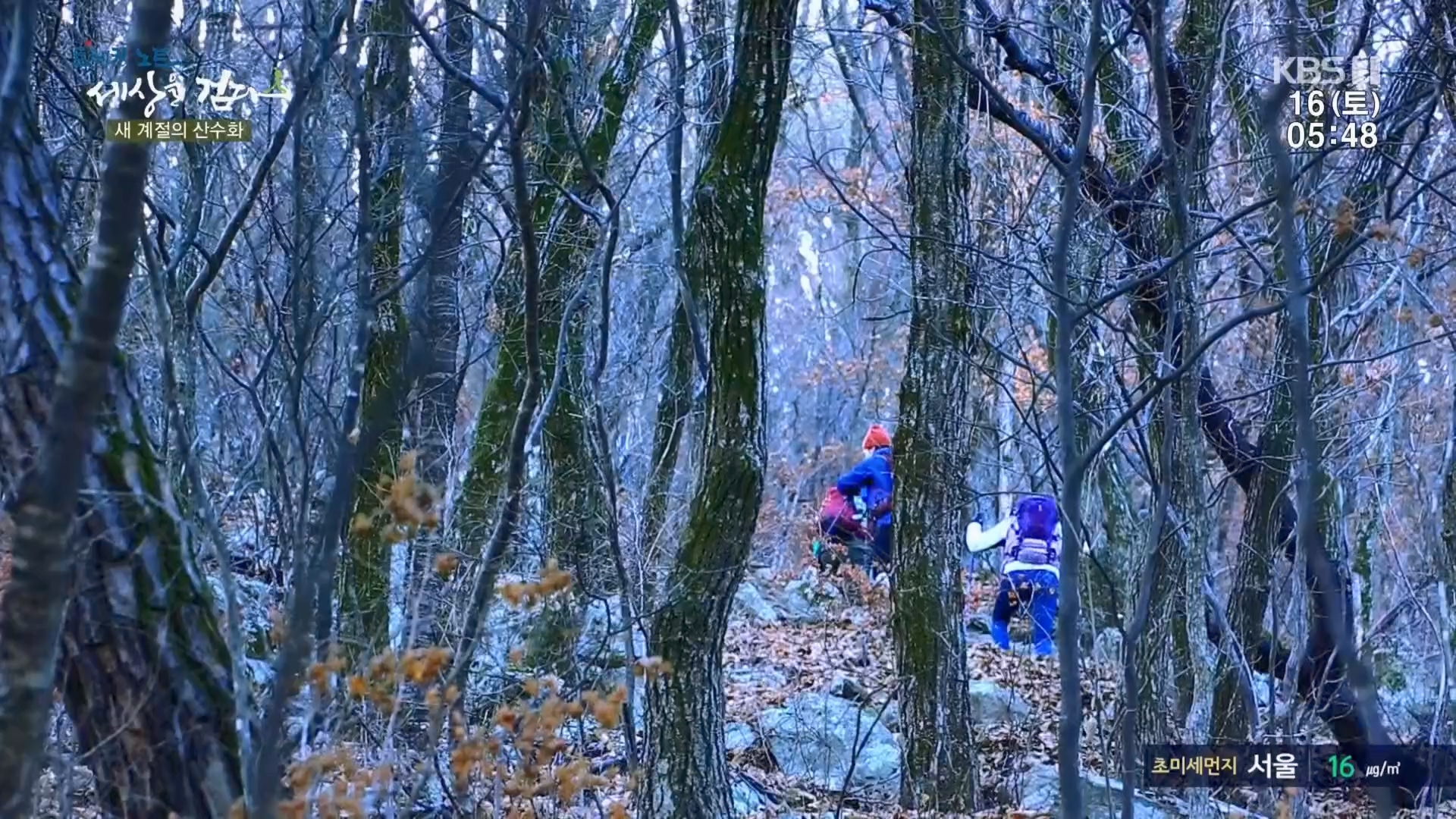 트레킹노트 세상을 걷다.E299.231216p.H264-F1RST.mp4_20240131_200359.907.jpg