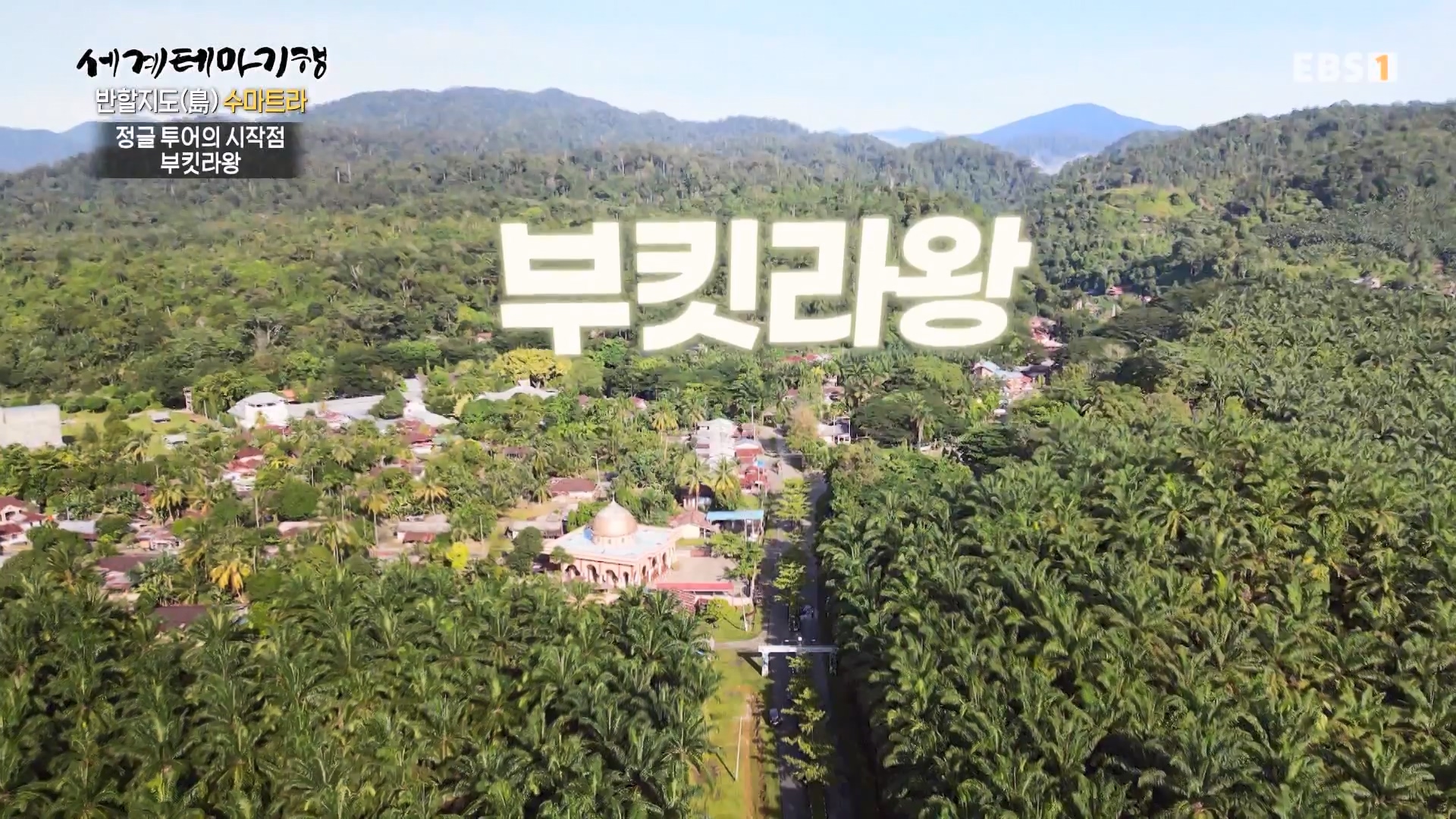 세계테마기행.230731.반할지도(島) 수마트라-1.북수마트라 제대로 즐기기.mp4_20230820_122424.029.jpg